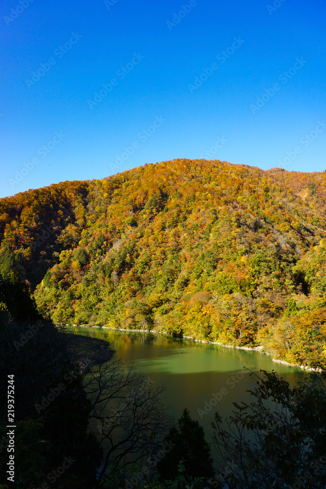 Autumn leaves around the World Heritage Gokayama.  世界遺産五箇山周辺の紅葉　富山県南砺市