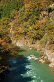 Autumn of Shogawa river in Toyama, Japan. 庄川の秋　紅葉シーズン　日本富山県南砺市