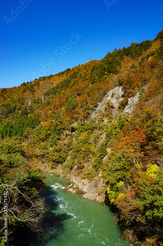 Autumn of Shogawa river in Toyama, Japan. 庄川の秋 紅葉シーズン 日本富山県南砺市