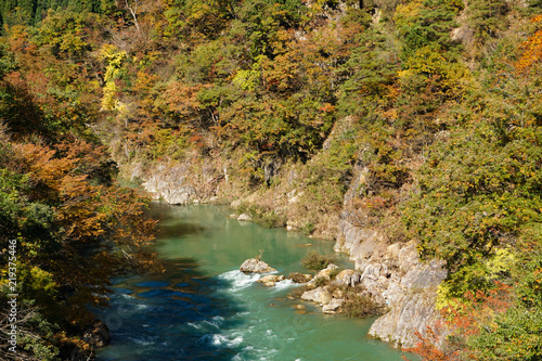 Autumn of Shogawa river in Toyama  Japan.                                                             