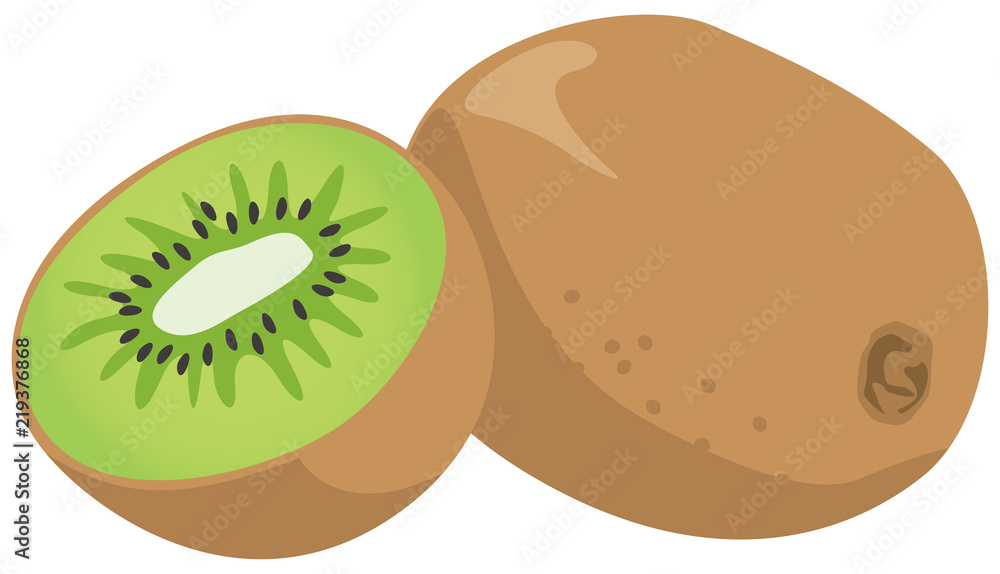 Obraz premium キウイのイメージイラスト