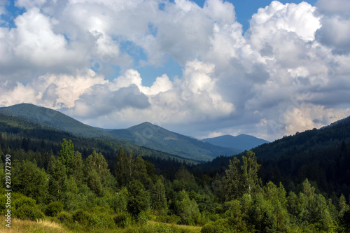 landscapes of mountains covered with dense coniferous forest, against a blue sky with clouds © Oleksandr