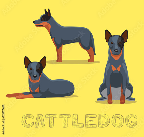 Dog Cattledog Cartoon Vector Illustration