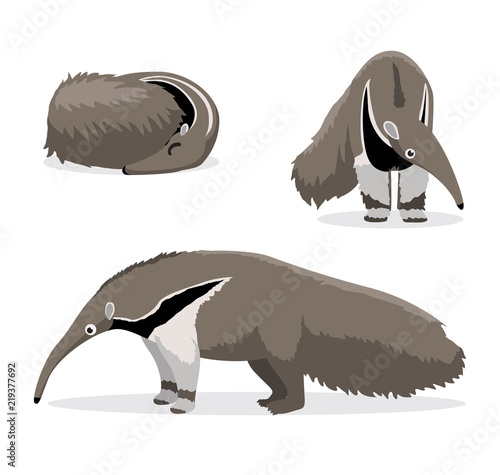 Cute Anteater Cartoon Vector Illustration