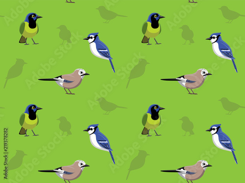 Bird Jay Wallpaper