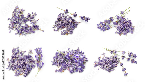 Fototapeta Naklejka Na Ścianę i Meble -  Set with aromatic fresh lavender on white background