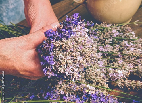 Fototapeta Naklejka Na Ścianę i Meble -  Girl prepare aromatical medicinal herbs for bedrooms. Nice bunch