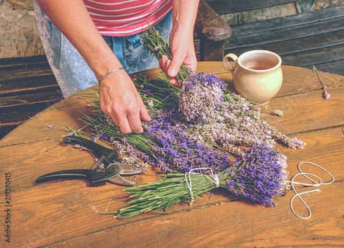 Fototapeta Naklejka Na Ścianę i Meble -  Aroma designer  workplace. Girl prepar harvested lavander stalks