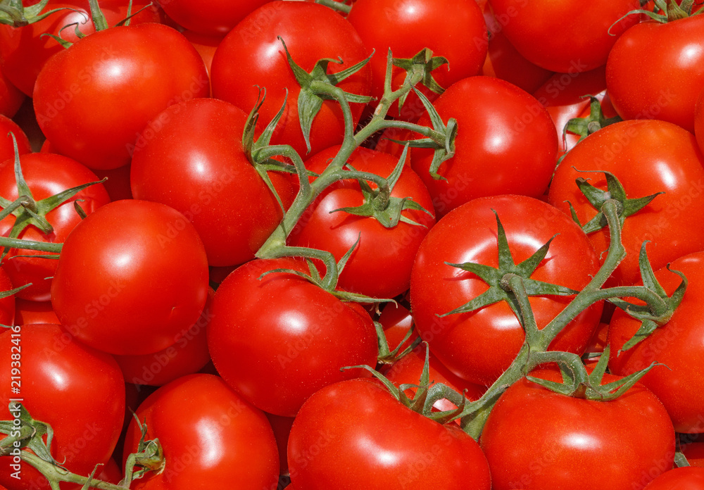 red tomatoes on vegetable market