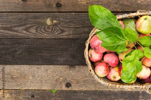 Fresh autumnapples after harvest in basket on wooden roustic background with copy space photo