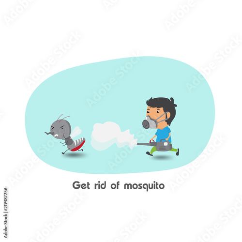 mosquito