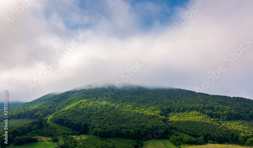 cloud above the forested hill. beautiful countryside scenery © Pellinni