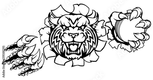 Wildcat Holding Cricket Ball Breaking Background