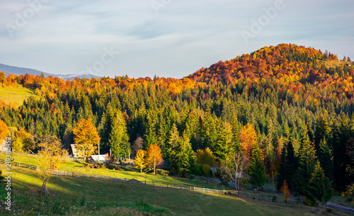 mountainous countryside in autumn. village near the forest in evening