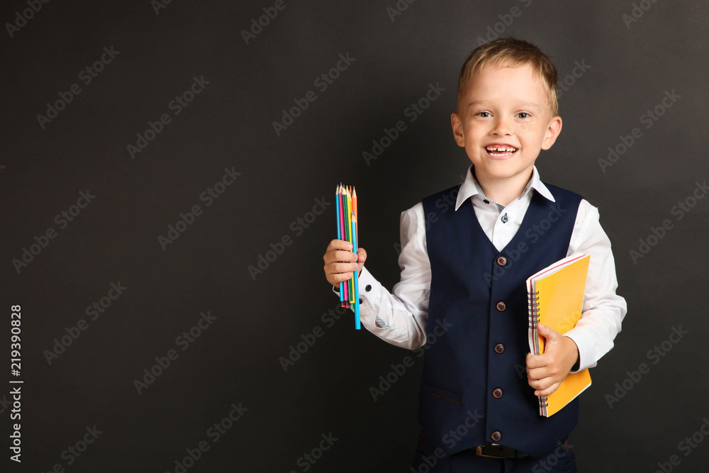 Schoolboy with pencils and notebook Schoolboy with pencils and notebook
