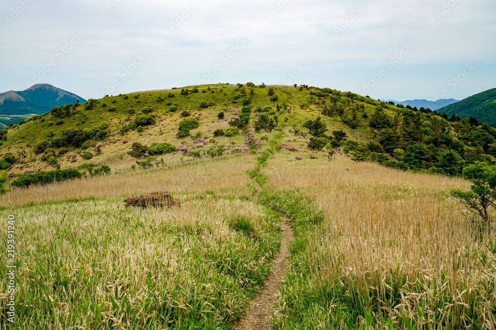 猟師岳　登山道