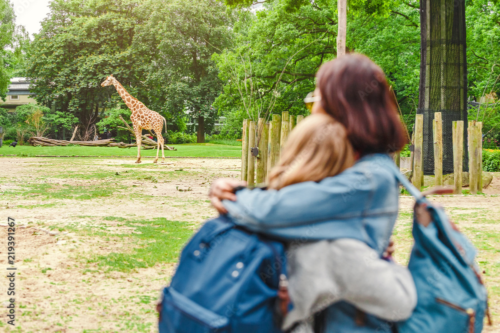 Fototapeta premium Szczęśliwi przyjaciele dziewczyny oglądając żyrafę w zoo. zabawa w parku safari i edukacja dla studentów zoologii
