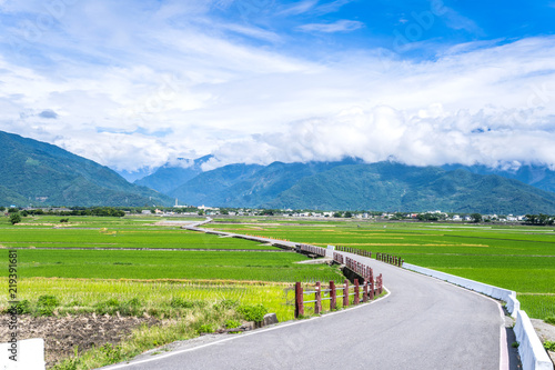 Landscape View Of Beautiful Paddy Field (Rice Plantation) At Brown Avenue, Chishang, Taitung, Taiwan © RomixImage