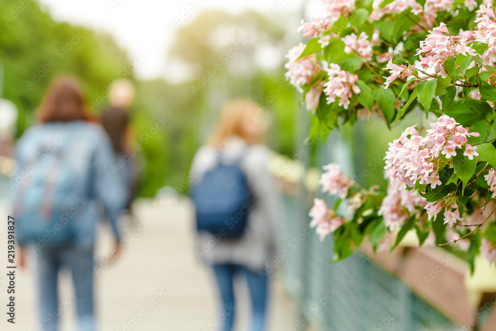 Girls friends with backpack walking in the garden with blooming trees at spring season. Travel, walking and allergy concept Girls friends with backpack walking in the garden with blooming trees at spring season. Travel, walking and allergy concept