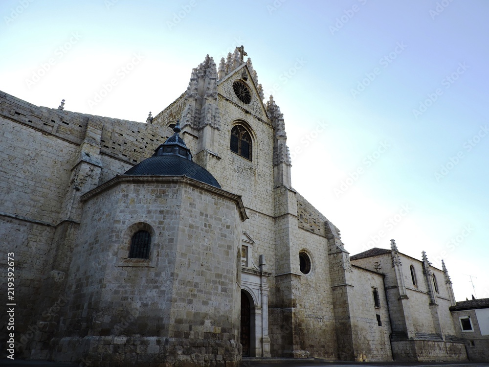 Catedral de San Antolín de Palencia, cara sur