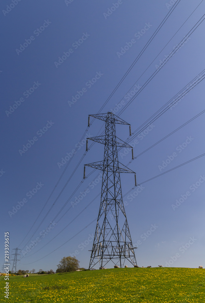 Electricity pylons in the Cumbrian countryside