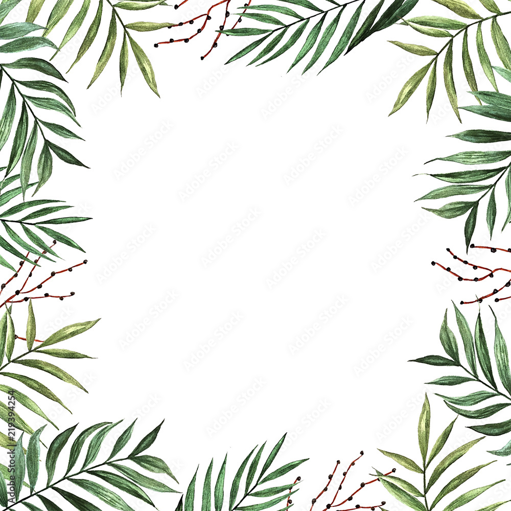 Watercolor palm leaves with seeds isolated on white background Watercolor palm leaves with seeds isolated on white background