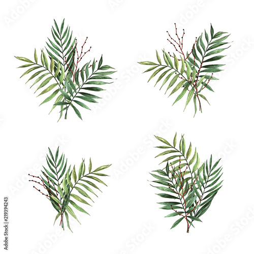 Watercolor yand drawn palm leaves with seeds.  Compositions isolated on white background.