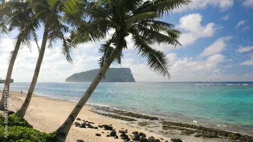 Beach on Samoa Island with palm tree and fale photo