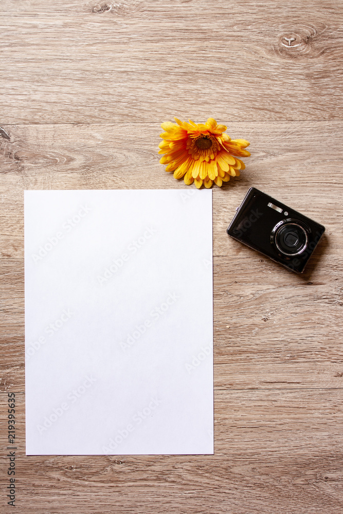 Flatlay holiday /travel theme with brown background with camera,passport,shell ,starfish and flowers Flatlay holiday /travel theme with brown background with camera,passport,shell ,starfish and flowers