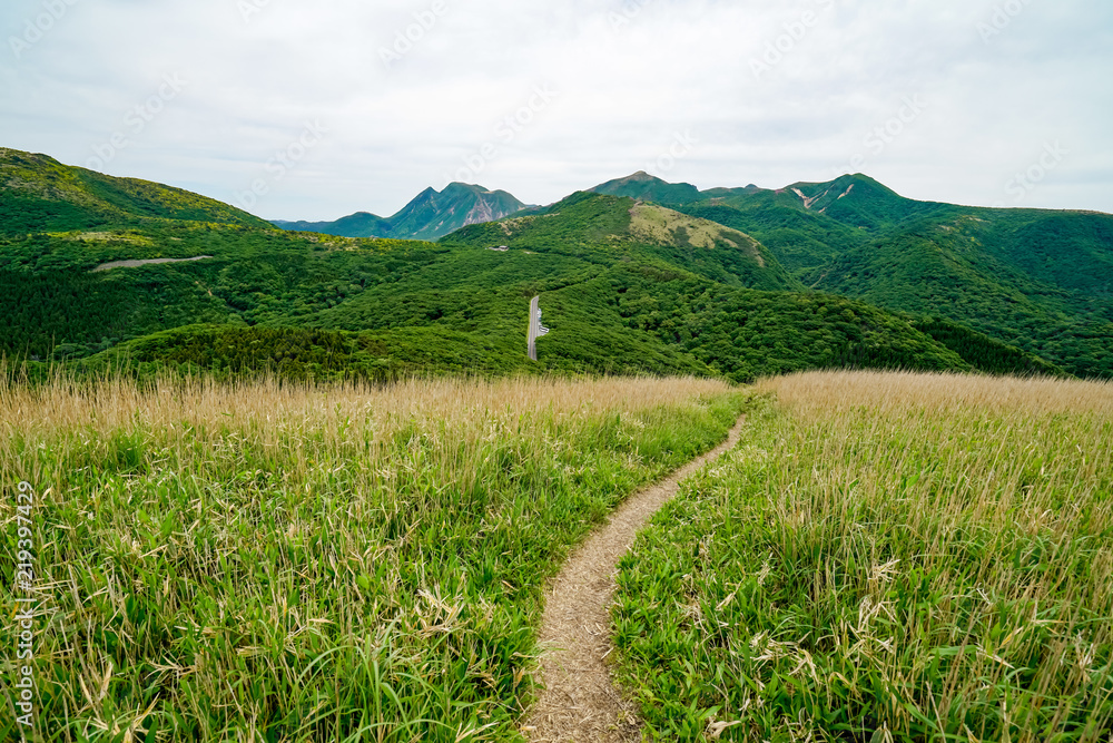 Fototapeta premium 猟師岳 登山道