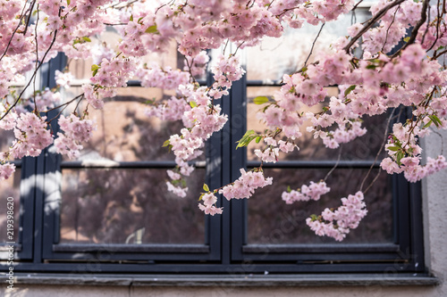 Photography Architecture in Oslo