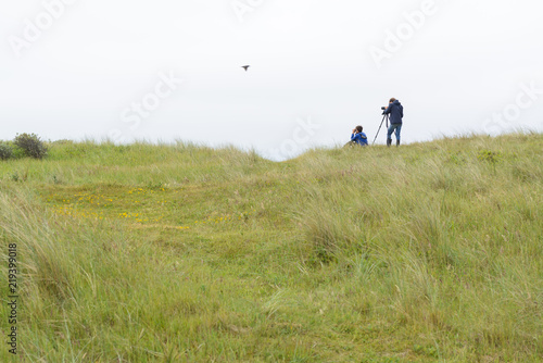 Birdwatching on Dutch Wadden islands