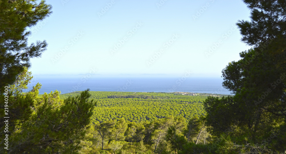 Fototapeta premium Panoramic view of the bay of Bolonia and the Natural Park of the Strait, province of Cádiz, Spain