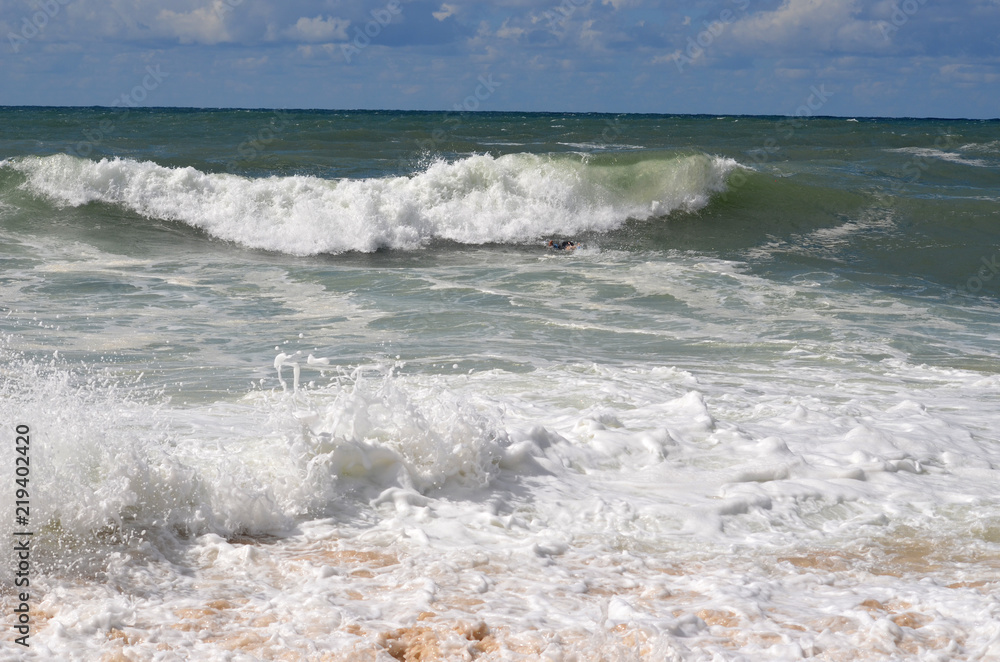 Fototapeta premium plage des landes