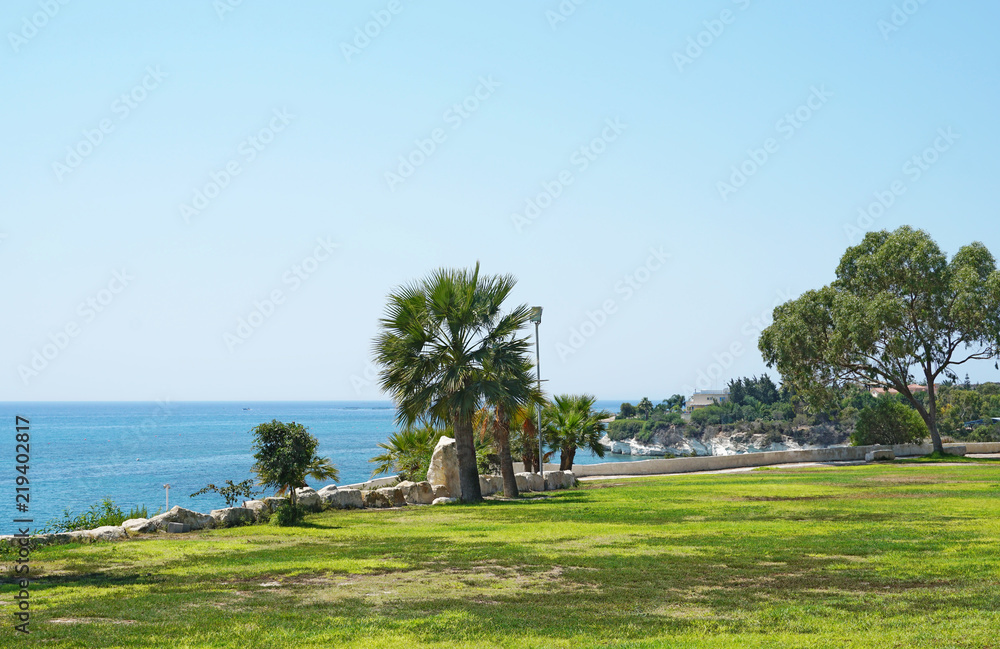 Beautiful landscape with trees and green lawn near the Governor Beach in Cyprus