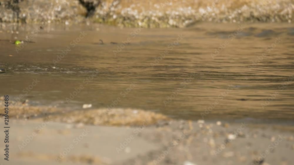Close up of calm ocean waves lapping on a golden sandy beach in Koh Samui, Thailand Close up of calm ocean waves lapping on a golden sandy beach in Koh Samui, Thailand