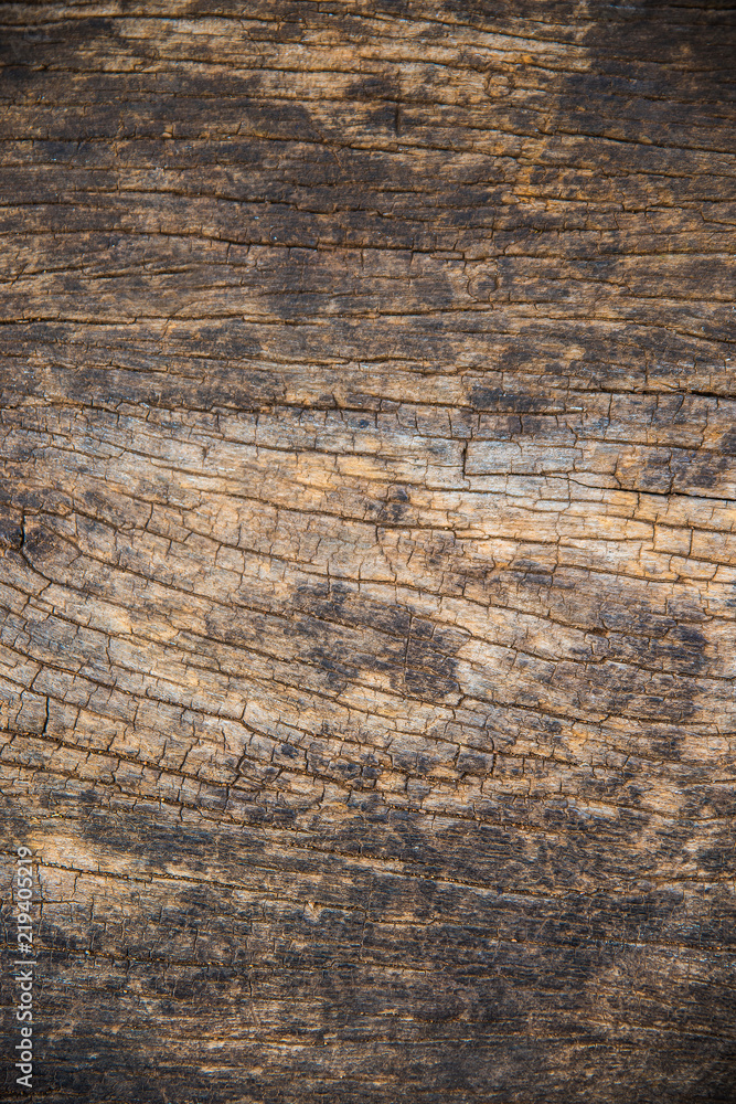 Fototapeta premium Abstract Old Wood Surface Background