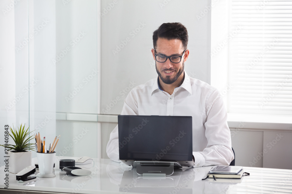 Fototapeta premium Smiling Businessman Using Laptop