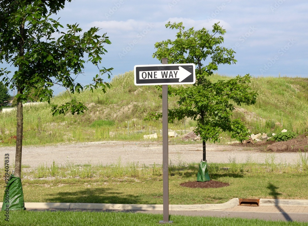 A black and white one way sign on the roadside. A black and white one way sign on the roadside.