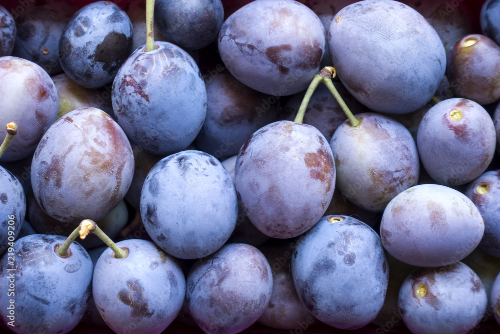 Fototapeta premium Ripe blue plums close-up. Fruit background.