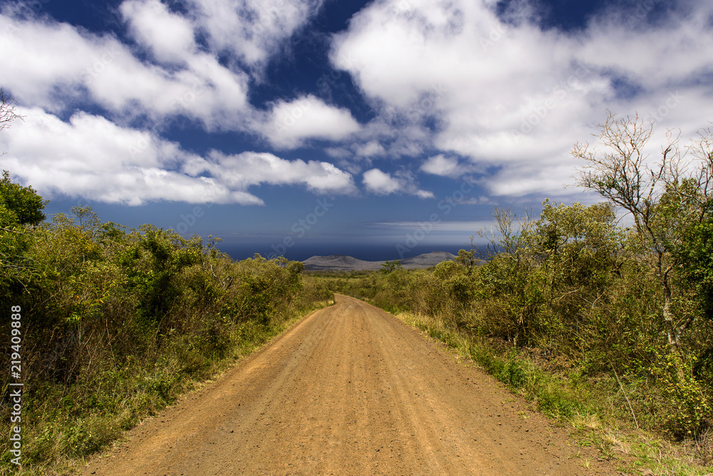 A sand road as the main road on Floreana, Galápagos-Archipel