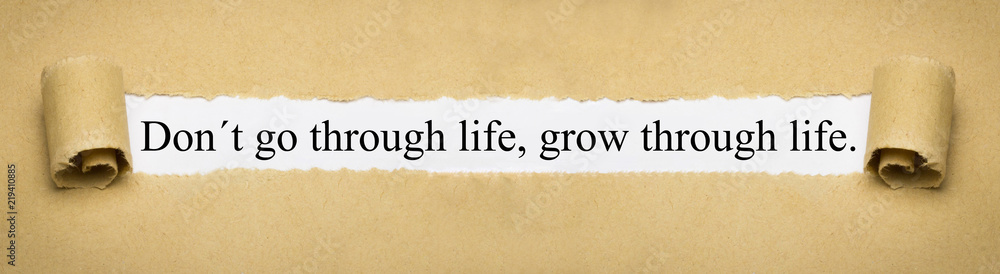 Dont go through life grow through life.