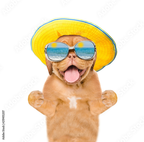 Happy puppy in summer hat and mirrored sunglasse. isolated on white background © Ermolaev Alexandr