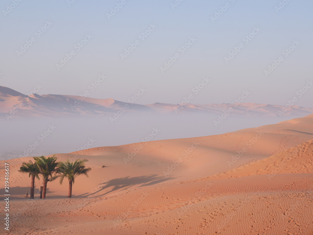 Morgendämmerung in der Wüste