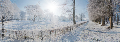 Winterlandschaft mit Sonne - Panorama
