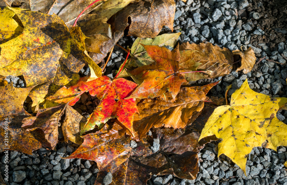 Herbstfarben