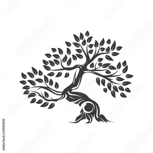 Organic natural and healthy olive tree silhouette logo isolated on white background.