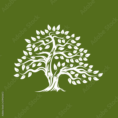 Organic natural and healthy olive tree silhouette logo isolated on green background.