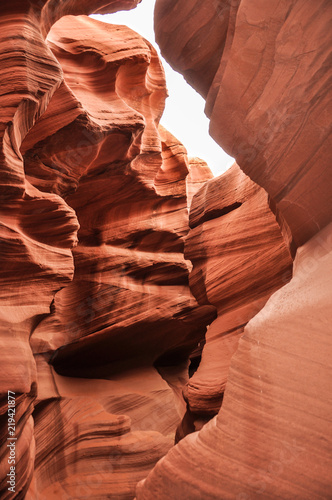 Wüste und Felsen in den USA