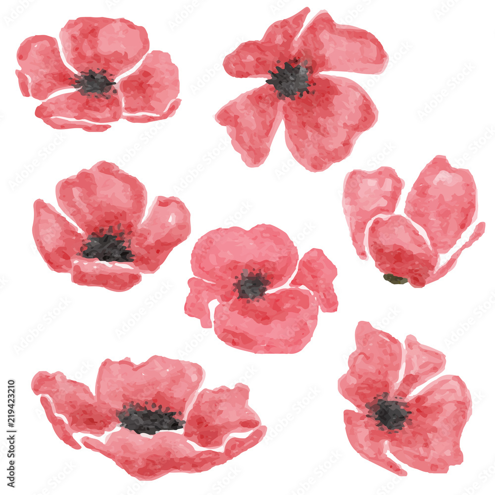 watercolor poppy flowers set isolated on white background watercolor poppy flowers set isolated on white background